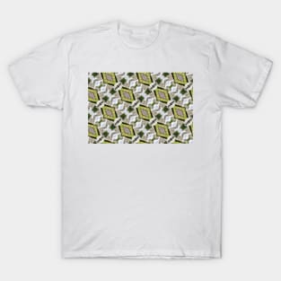 Basilica Kaleidoscope 13 T-Shirt